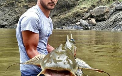 Catfish Fishing Tips