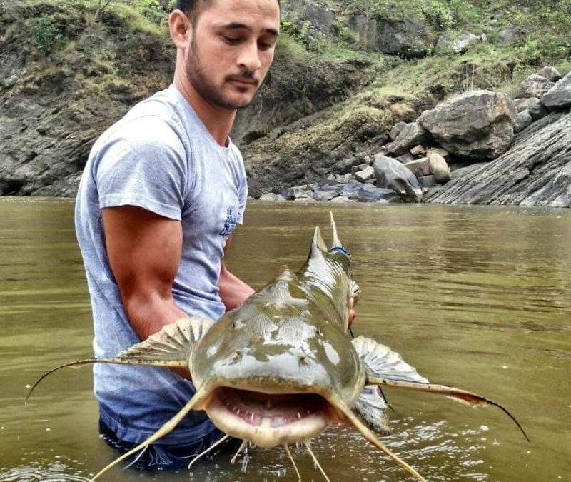Catfish Fishing Tips