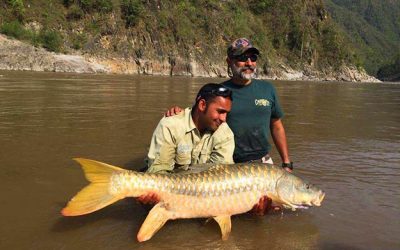 The Golden mahseer sport fish par excellence