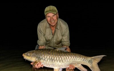 The Golden mahseer sport fish par excellence