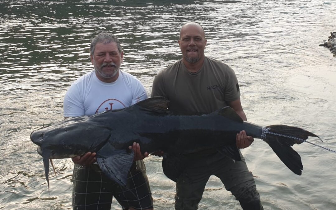 Catfish Fishing Tips
