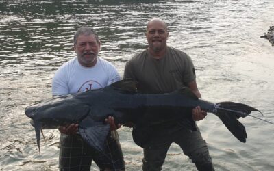 Catfish Fishing Tips