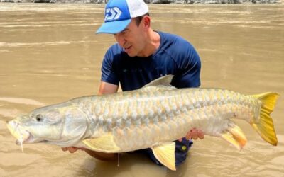 Mahseer Fishing Camp in India: Unforgettable Adventures Await